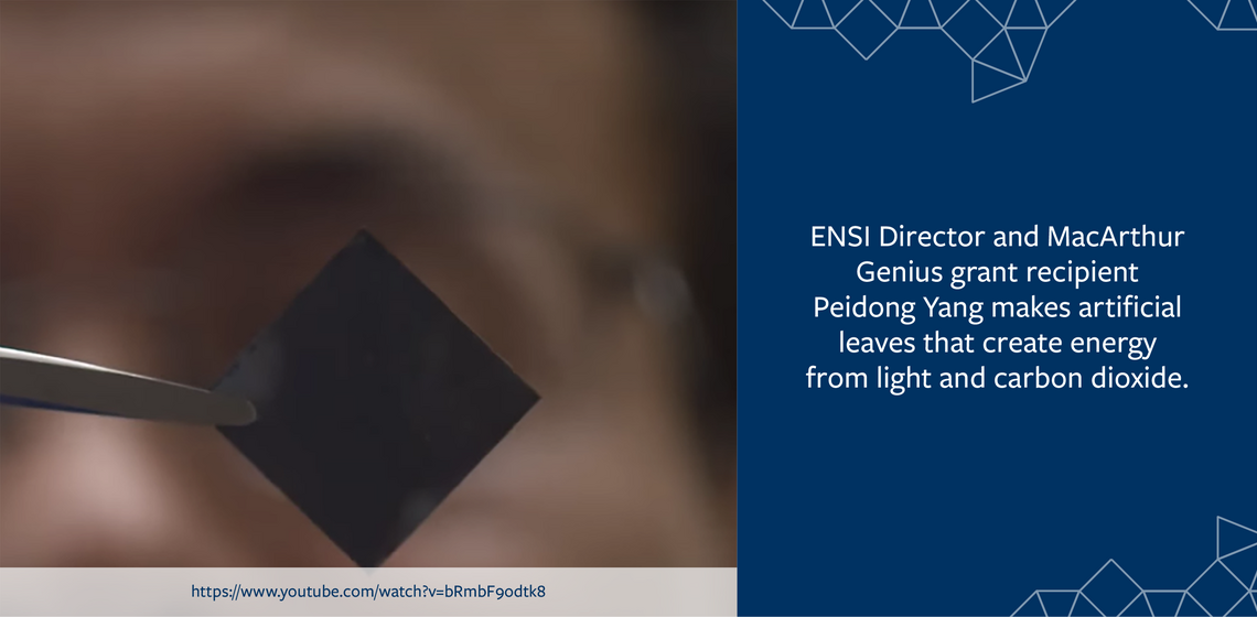ENSI Director and Peidong Yang makes artificial leaves creating energy from light and carbon dioxide.